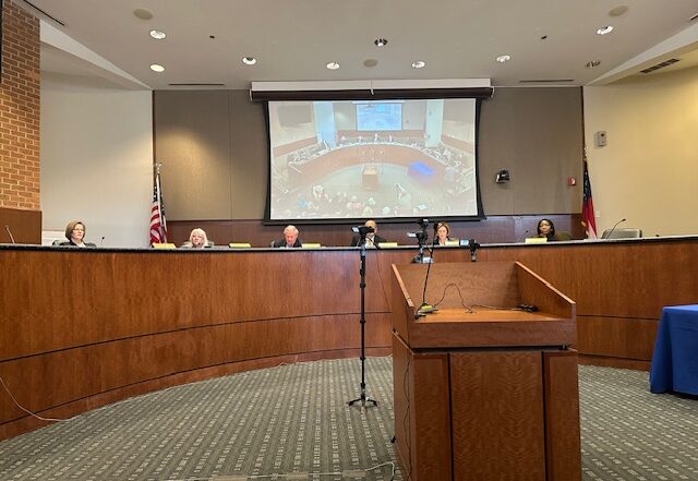 Georgia State Election Board